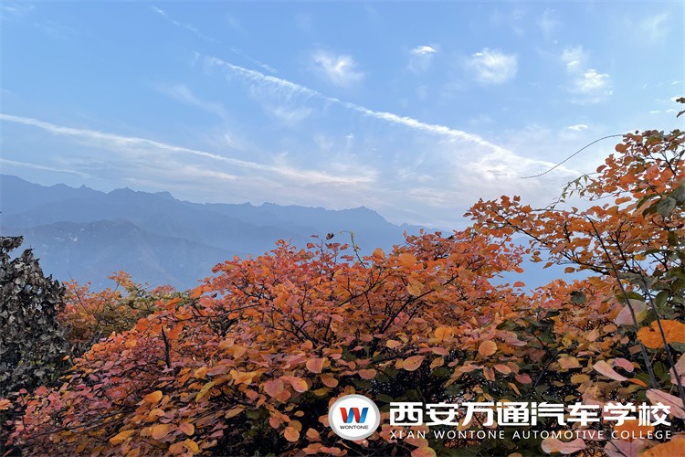 西安萬通提醒----春節(jié)自駕返程這些要注意