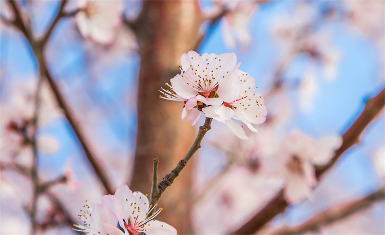 方圓之間，感受萬通的美