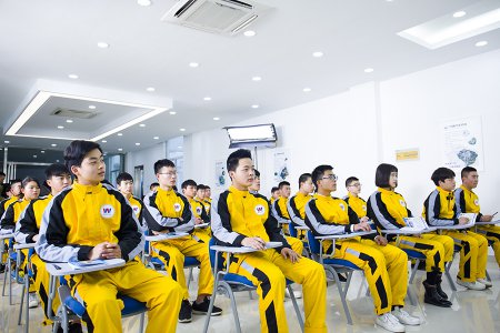 初高中畢業(yè)，學(xué)汽車技術(shù)好，還是學(xué)電腦技術(shù)好？